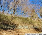 栃木県那須郡那須町の国税庁公売物件 34万円 土地 455m²