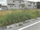 滋賀県長浜市の競売物件 315万円 土地 182m²