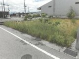 滋賀県長浜市の競売物件 418万円 土地 255m²