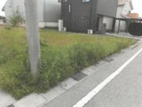 滋賀県長浜市の競売物件 350万円 土地 205m²