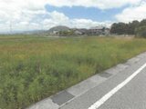 滋賀県長浜市の競売物件 315万円 土地 180m²