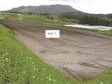 鹿児島県志布志市の競売物件 16万円 農地 2,595m²