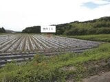 鹿児島県志布志市の競売物件 14万円 農地 1,475m²