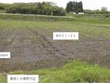 鹿児島県志布志市の競売物件 19万円 農地 2,253m²