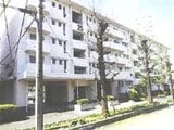 埼玉県坂戸市の競売物件 298万円 マンション 57m²