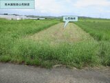 宮崎県宮崎市の国税庁公売物件 5万円 農地 372m²