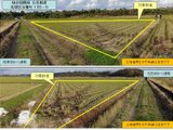 秋田県能代市の国税庁公売物件 13万円 農地 1,116m²