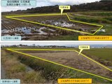 秋田県能代市の国税庁公売物件 15万円 農地 1,294m²