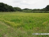 千葉県銚子市の国税庁公売物件 28万円 農地 1,671m²