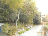 静岡県伊東市の競売物件 32万円 土地 198m²