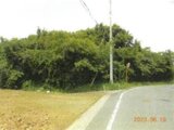 静岡県浜松市中央区の競売物件 13万円 農地 589m²