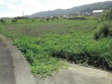 徳島県吉野川市の競売物件 329万円 農地 1,863m²
