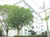 大阪府茨木市の競売物件 450万円 マンション 71m²