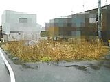 鳥取県鳥取市の競売物件 371万円 土地 150m²