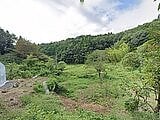 岡山県加賀郡吉備中央町の国税庁公売物件 5万円 農地 1,871m²