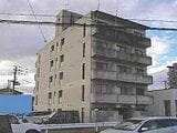 宮城県塩竈市の競売物件 2,005万円 戸建て 769m²
