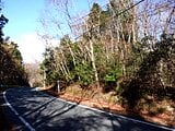 静岡県裾野市の国有財産物件 216万円 土地 683m²