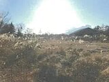 山梨県南都留郡山中湖村の競売物件 355万円 土地 2,274m²