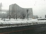 新潟県南魚沼市の競売物件 1万円 マンション 32m²