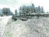 群馬県前橋市の競売物件 290万円 土地 615m²
