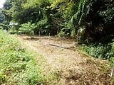 神奈川県逗子市の国有財産物件 43万円 農地 140m²