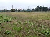 埼玉県所沢市の国有財産物件 71万円 農地 1,732m²
