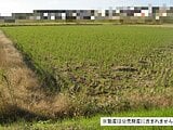 千葉県我孫子市の国税庁公売物件 14万円 農地 4,521m²