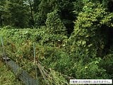 山梨県都留市の国税庁公売物件 23万円 農地 270m²