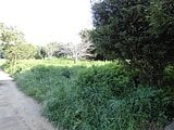 千葉県千葉市緑区の国税庁公売物件 30万円 農地 903m²