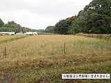 千葉県市原市の国税庁公売物件 47万円 農地 3,014m²