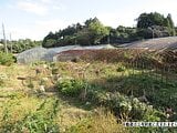 千葉県山武郡横芝光町の国税庁公売物件 55万円 農地 3,737m²