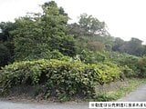 神奈川県横浜市保土ケ谷区の国税庁公売物件 2,010万円 農地 332m²