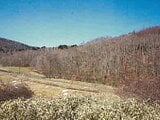 北海道浦河郡浦河町の競売物件 32万円 土地 57,232m²