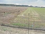 秋田県由利本荘市の競売物件 75万円 農地 2,689m²