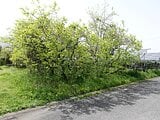 岐阜県海津市の国税庁公売物件 7万円 農地 351m²