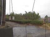 静岡県牧之原市の競売物件 33万円 農地 885m²