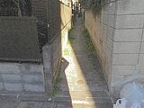 東京都大田区の競売物件 368万円 土地 110m²