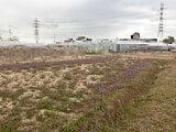 埼玉県吉川市の国税庁公売物件 10万円 農地 469m²