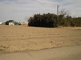 茨城県古河市の国税庁公売物件 16万円 農地 2,477m²