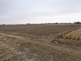 埼玉県春日部市の国税庁公売物件 21万円 農地 509m²
