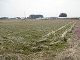 栃木県塩谷郡高根沢町の国税庁公売物件 39万円 農地 5,026m²