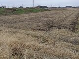 埼玉県春日部市の国税庁公売物件 42万円 農地 985m²