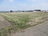 栃木県塩谷郡高根沢町の国税庁公売物件 60万円 農地 3,930m²