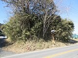 栃木県那須烏山市の国税庁公売物件 86万円 土地 394m²