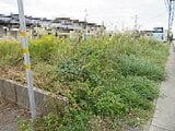 茨城県日立市の国税庁公売物件 976万円 土地 532m²