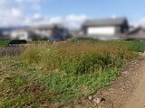 静岡県浜松市浜名区の官公庁公売物件 44万円 土地 261m²