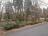 鳥取県西伯郡伯耆町の官公庁公売物件 70万円 土地 387m²