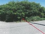 兵庫県たつの市の競売物件 105万円 農地 1,816m²