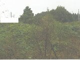 茨城県水戸市の競売物件 317万円 土地 2,490m²