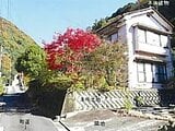 島根県鹿足郡津和野町の競売物件 149万円 戸建て 178m²